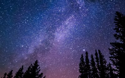 Tactical Philanthropist – How an unintentional businessman is financing his social vision