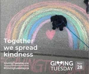 GivingTuesday little black dog under a chalk rainbow